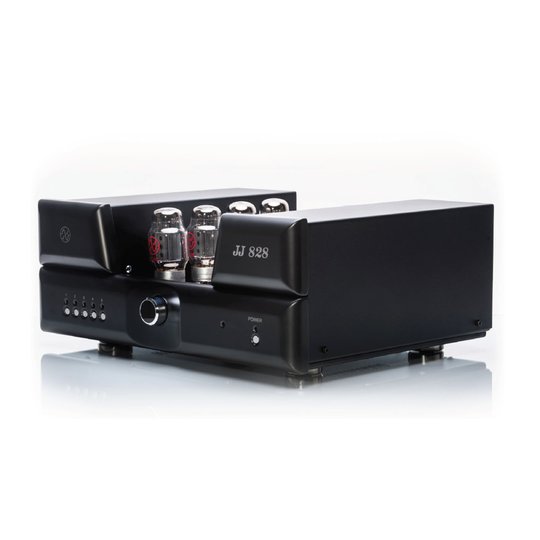 JJ828 High class AB1 tube amplifier