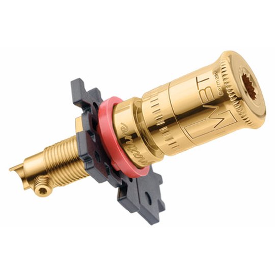 WBT pole terminal standard surface treatment in gold...